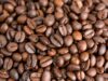 Which Country Makes the Best Coffee in the World