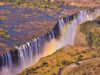 Hidden Gems: Discovering Rare and Endangered Species in Africa