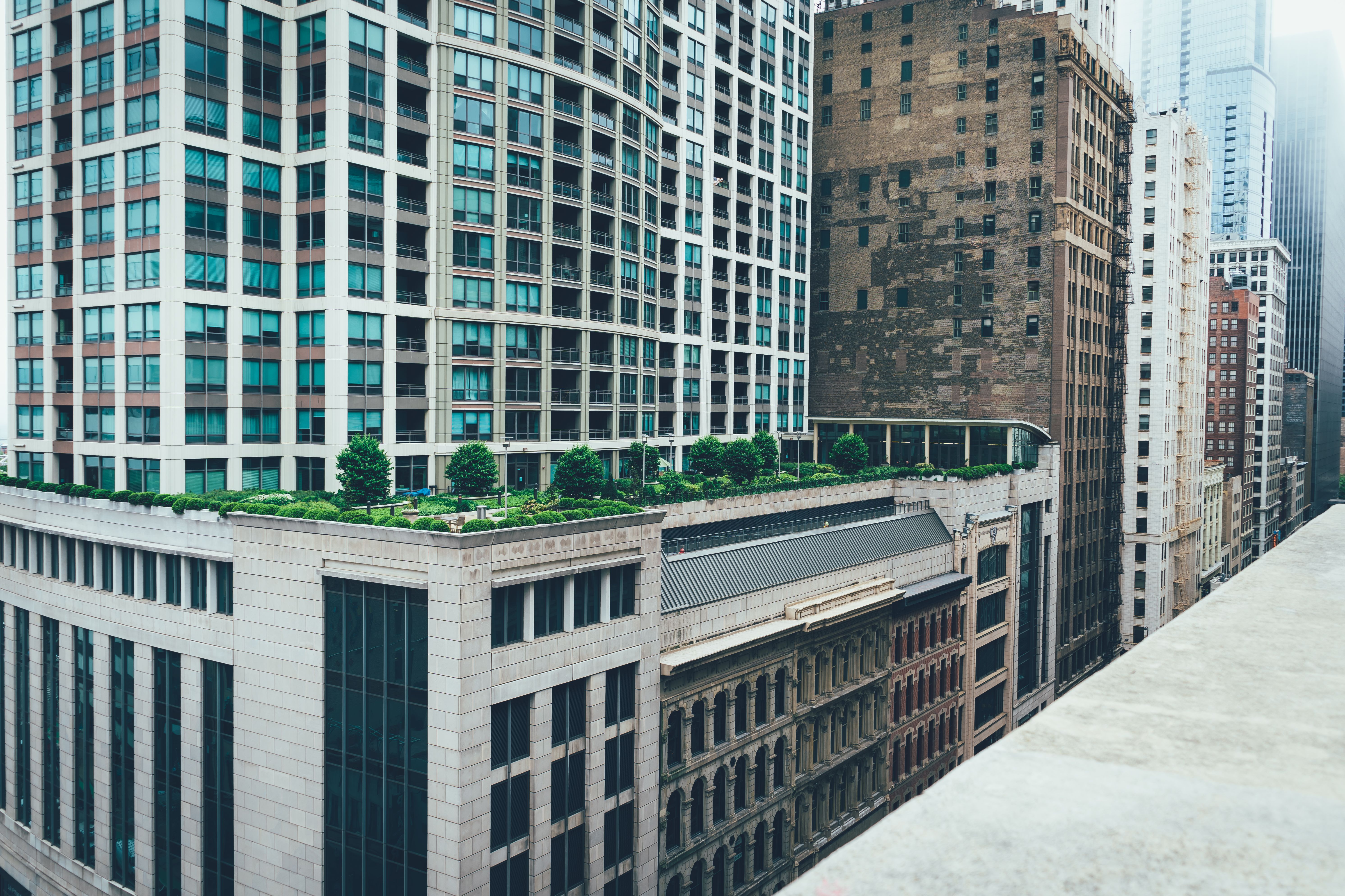 Modern city skyline with a green rooftop garden, illustrating sustainable urban economic development
