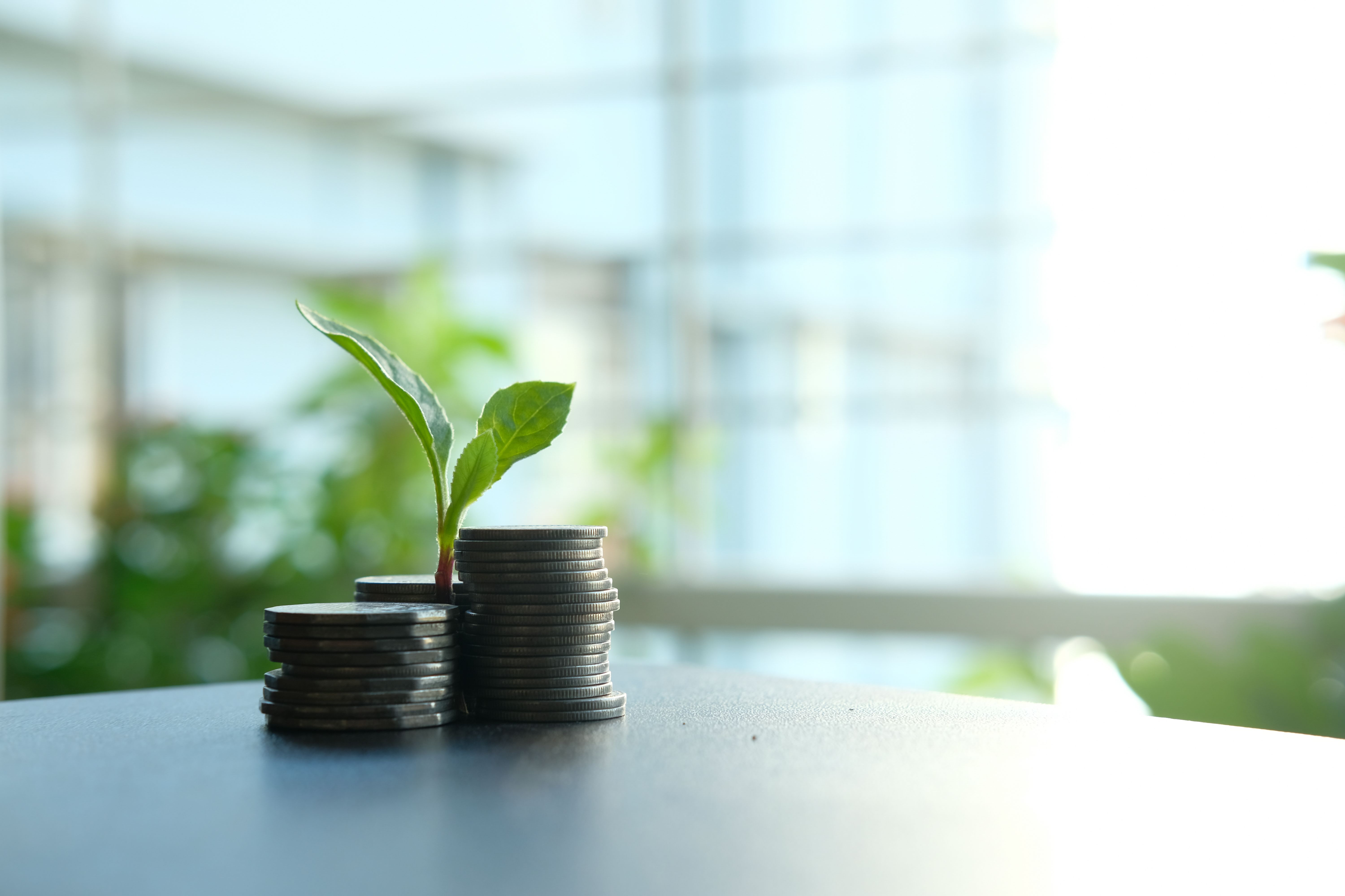 Small plant growing from stacked coins, symbolizing sustainable financial growth